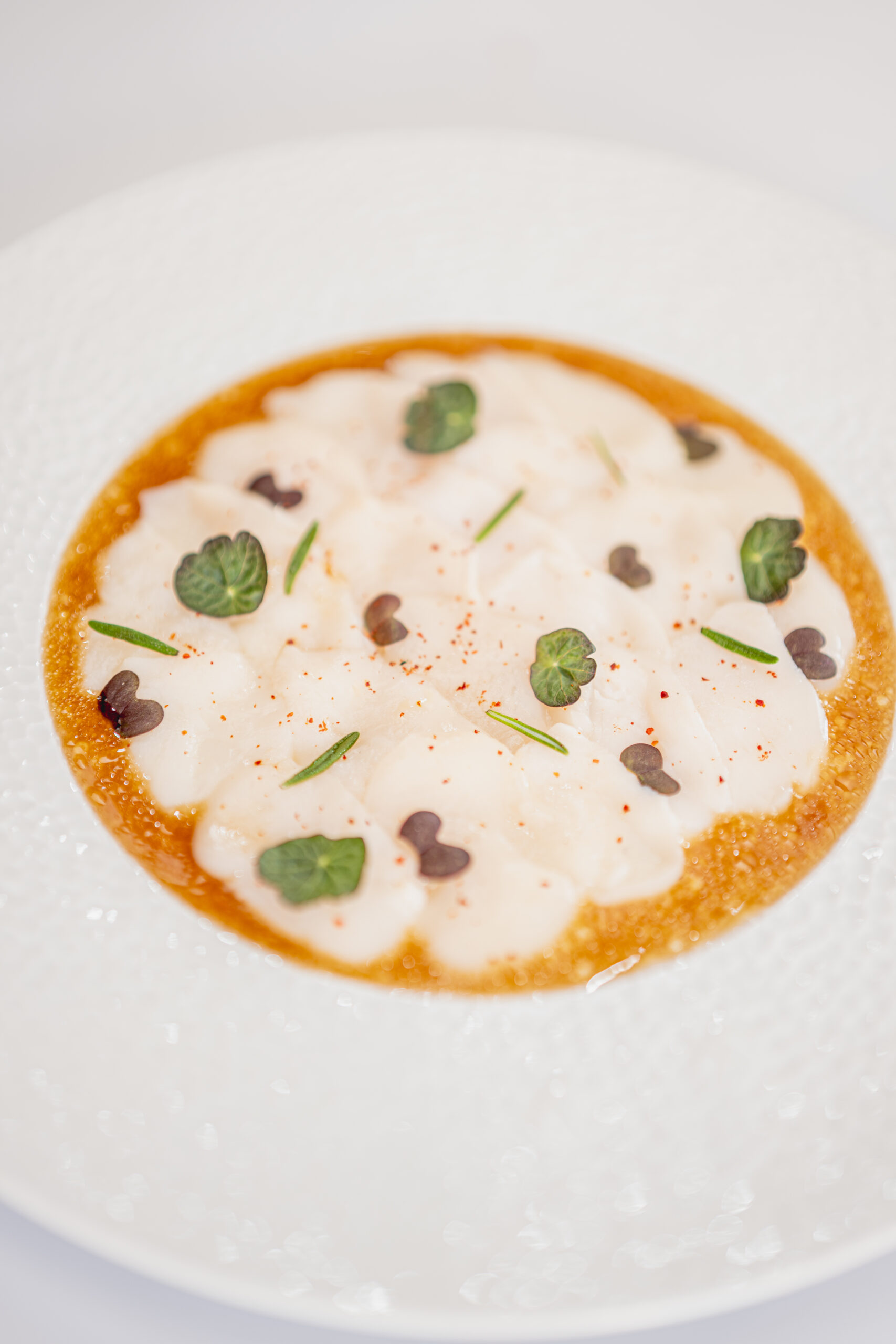 Plat traiteur Maison Roussarie Coquilles Saint Jacques